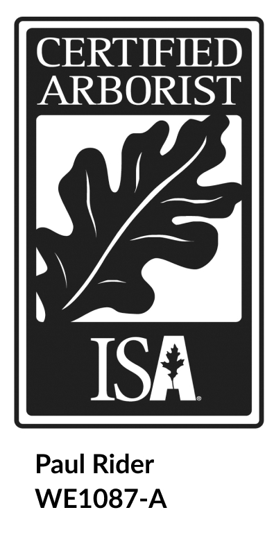 ISA Certified Arborist