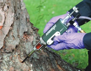Tree Pest Injections