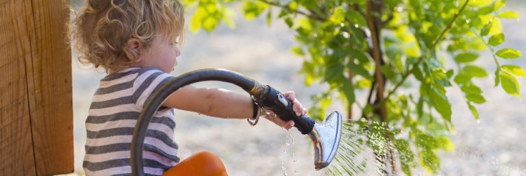 How to Keep Your Trees Alive During San Diego’s 2025 Drought Restrictions