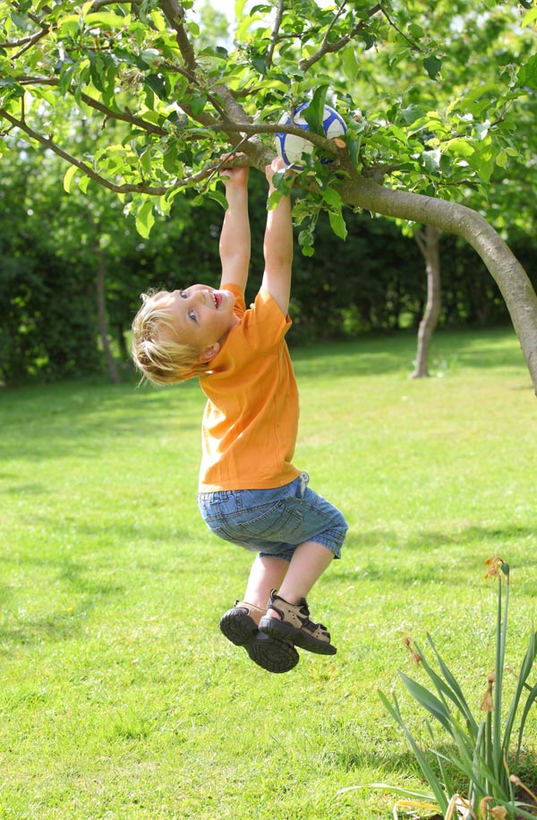 Tree Barber Enterprises