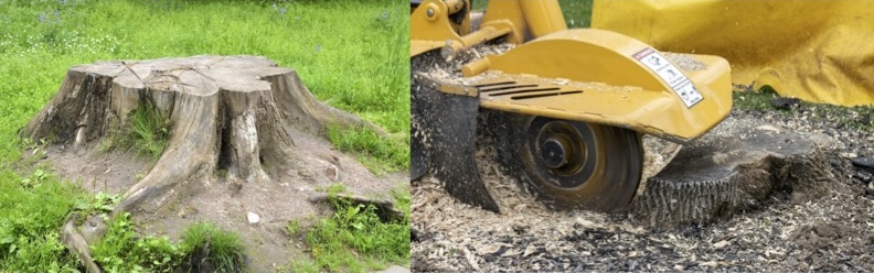 Professional stump grinding equipment in action