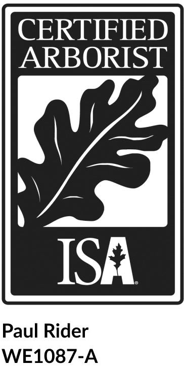 ISA Certified Arborists
