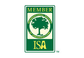 ISA Member