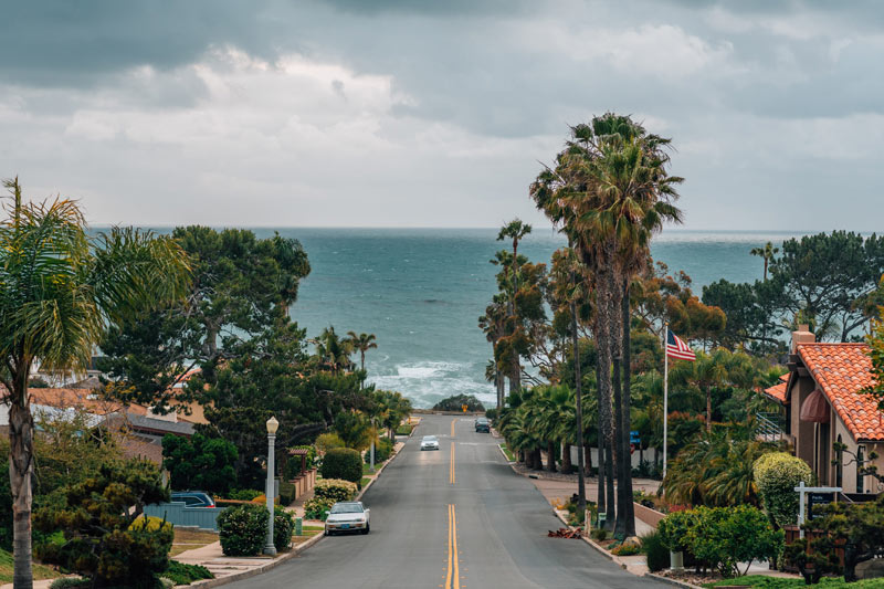 tree trimming San Diego